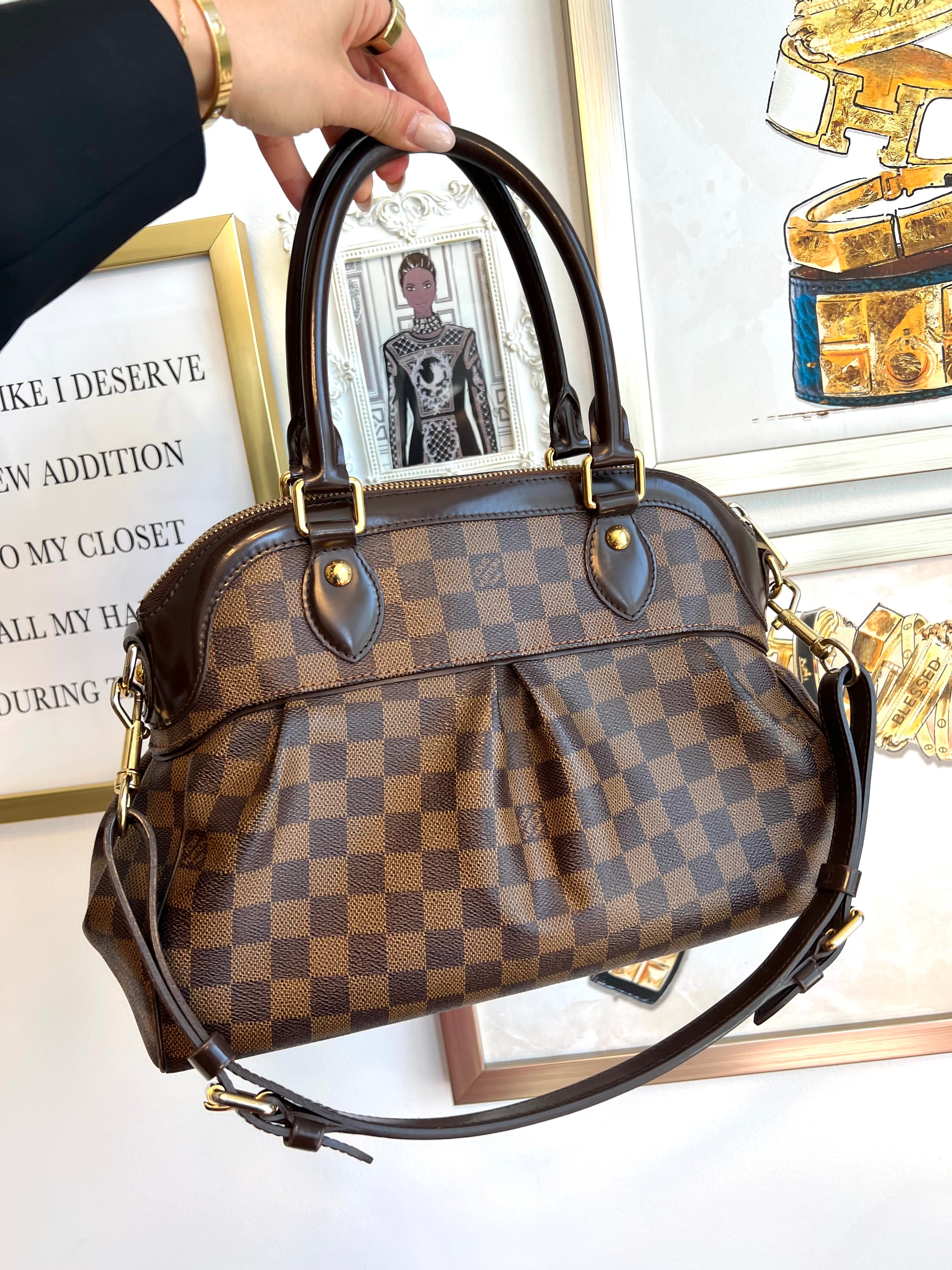Pre-Owned LOUIS VUITTON Damier Ebene Trevi PM