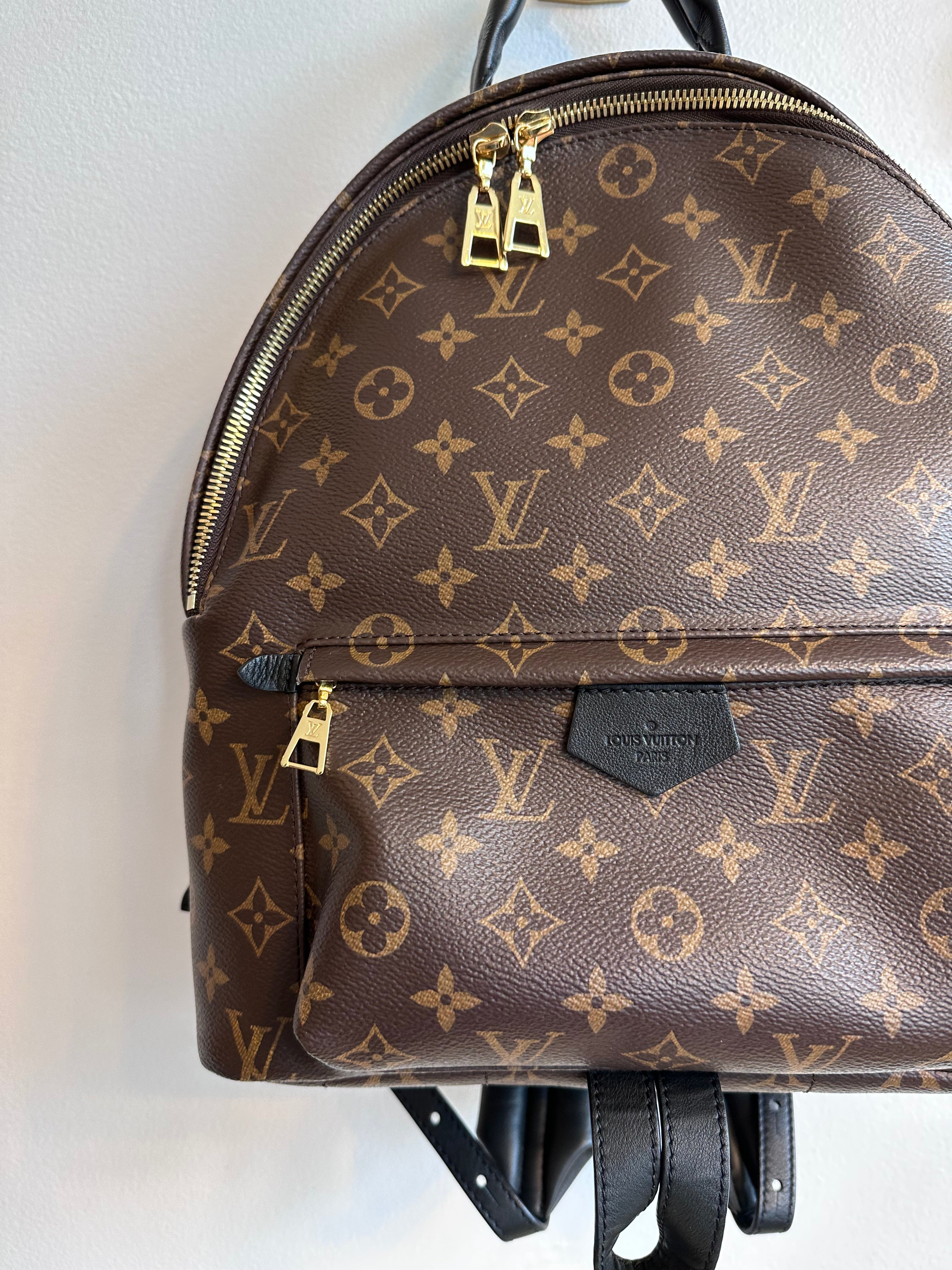 Pre-Owned LOUIS VUITTON Palm Springs MM Backpack