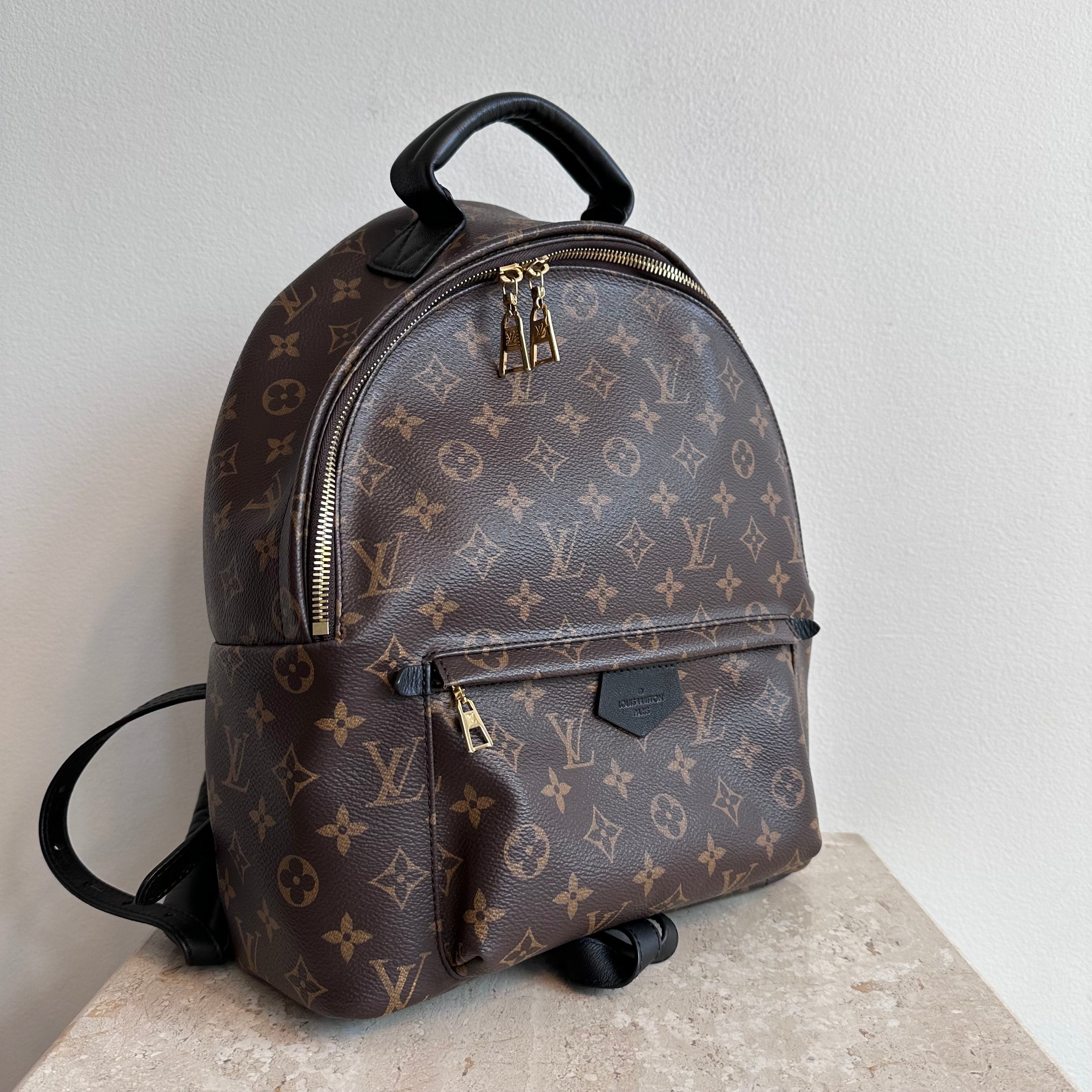 Pre-Owned LOUIS VUITTON Palm Springs MM Backpack