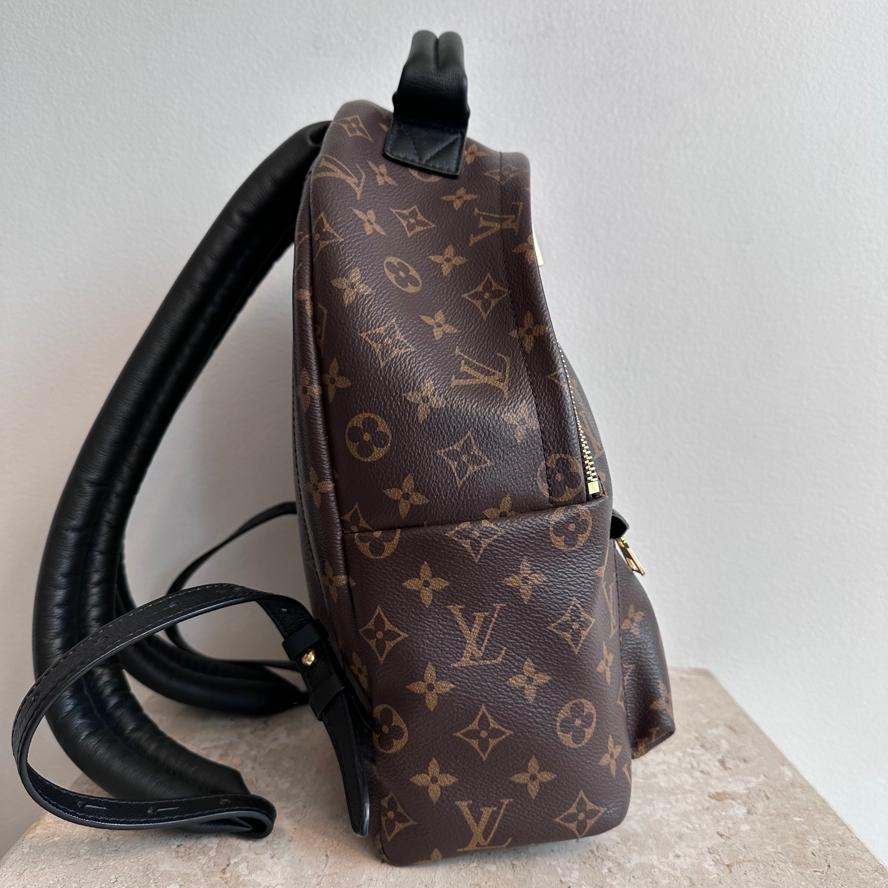 Pre-Owned LOUIS VUITTON Palm Springs MM Backpack