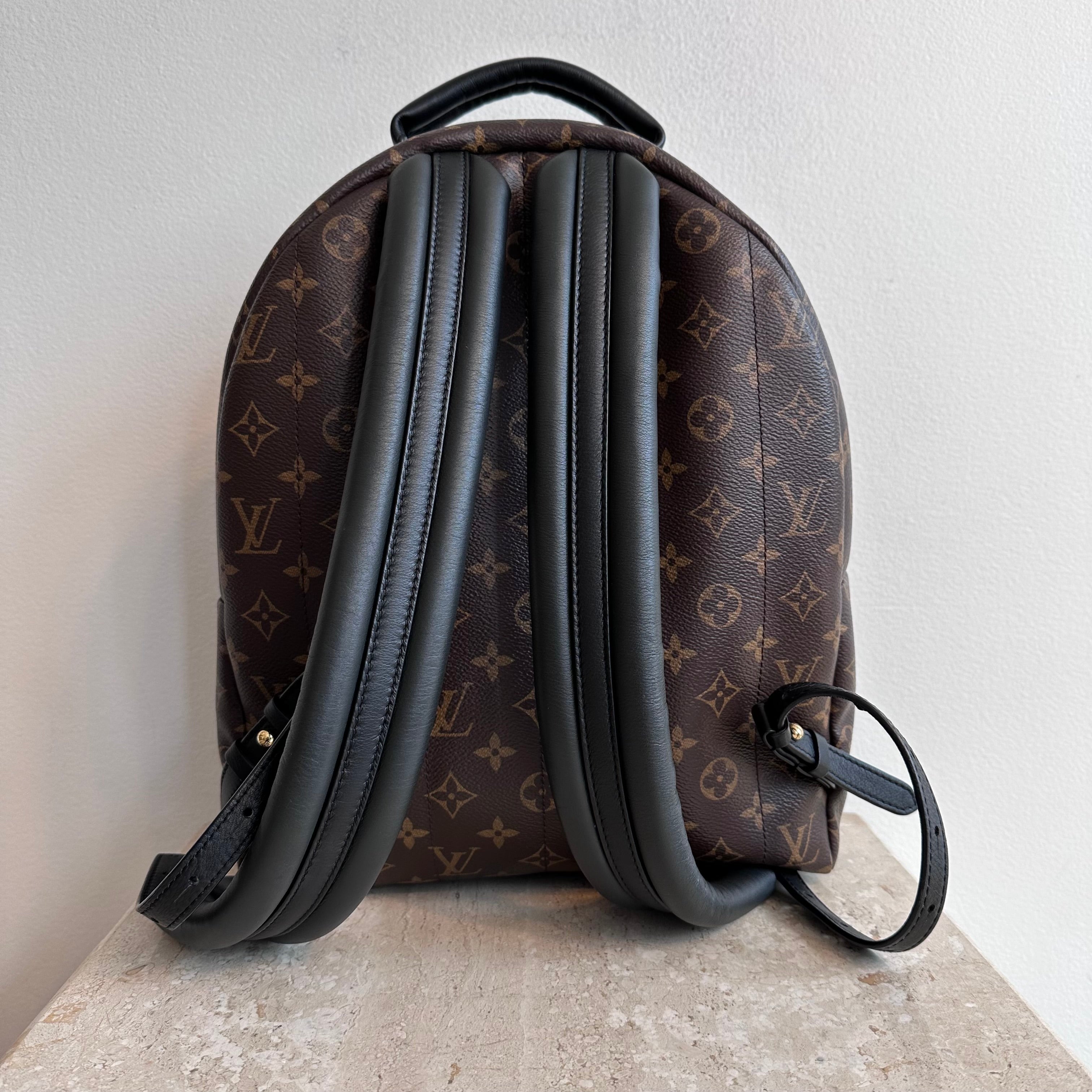 Pre-Owned LOUIS VUITTON Palm Springs MM Backpack