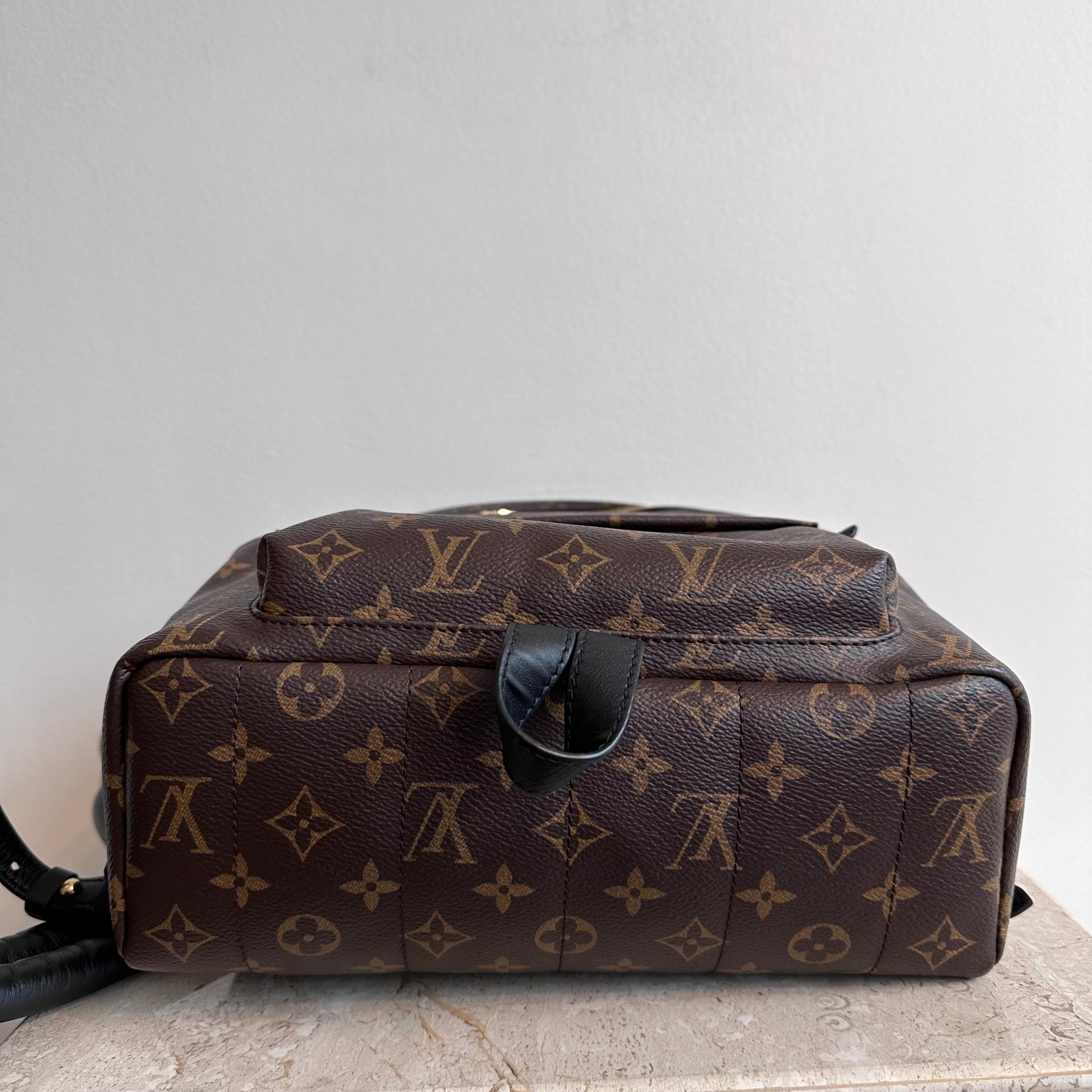 Pre-Owned LOUIS VUITTON Palm Springs MM Backpack