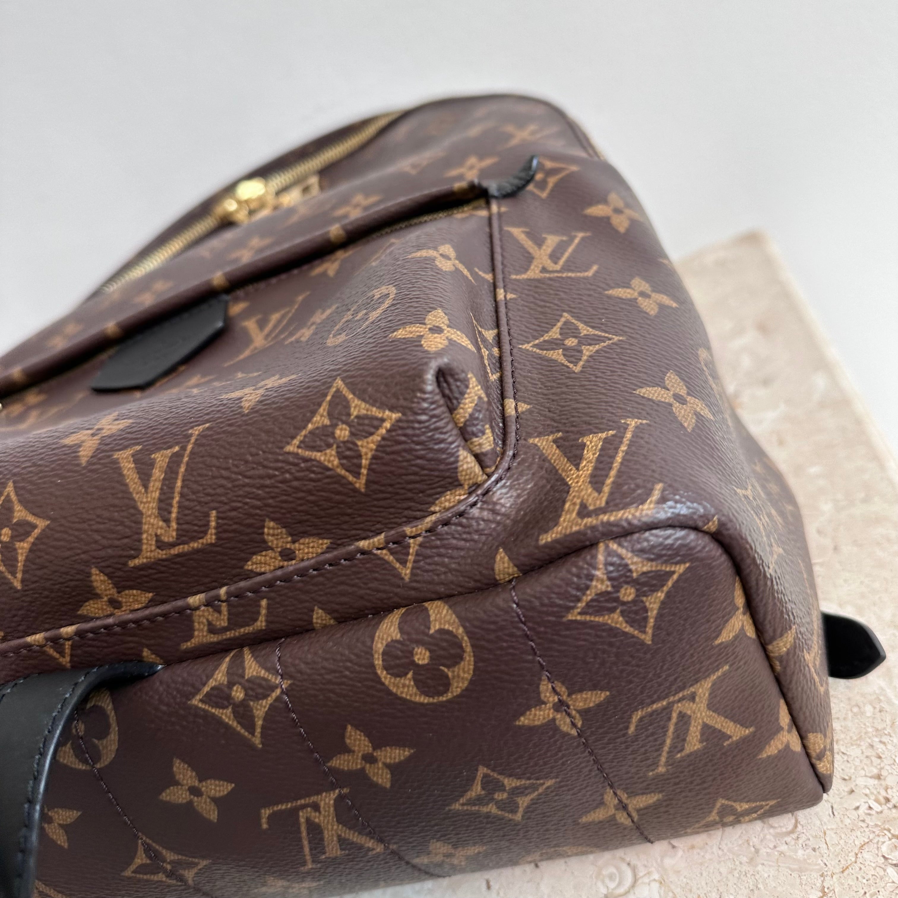 Pre-Owned LOUIS VUITTON Palm Springs MM Backpack