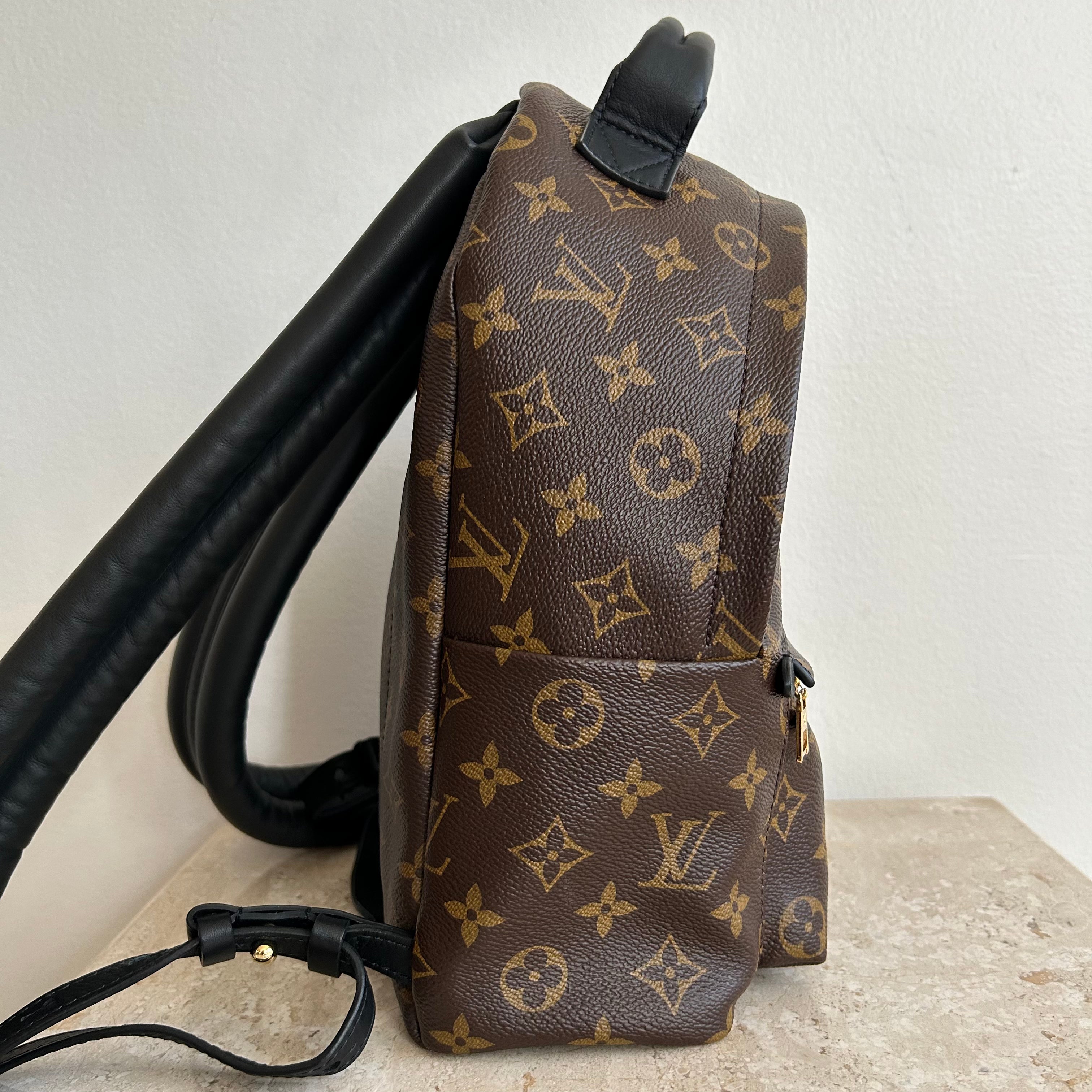 Pre-Owned LOUIS VUITTON Palm Springs PM Backpack