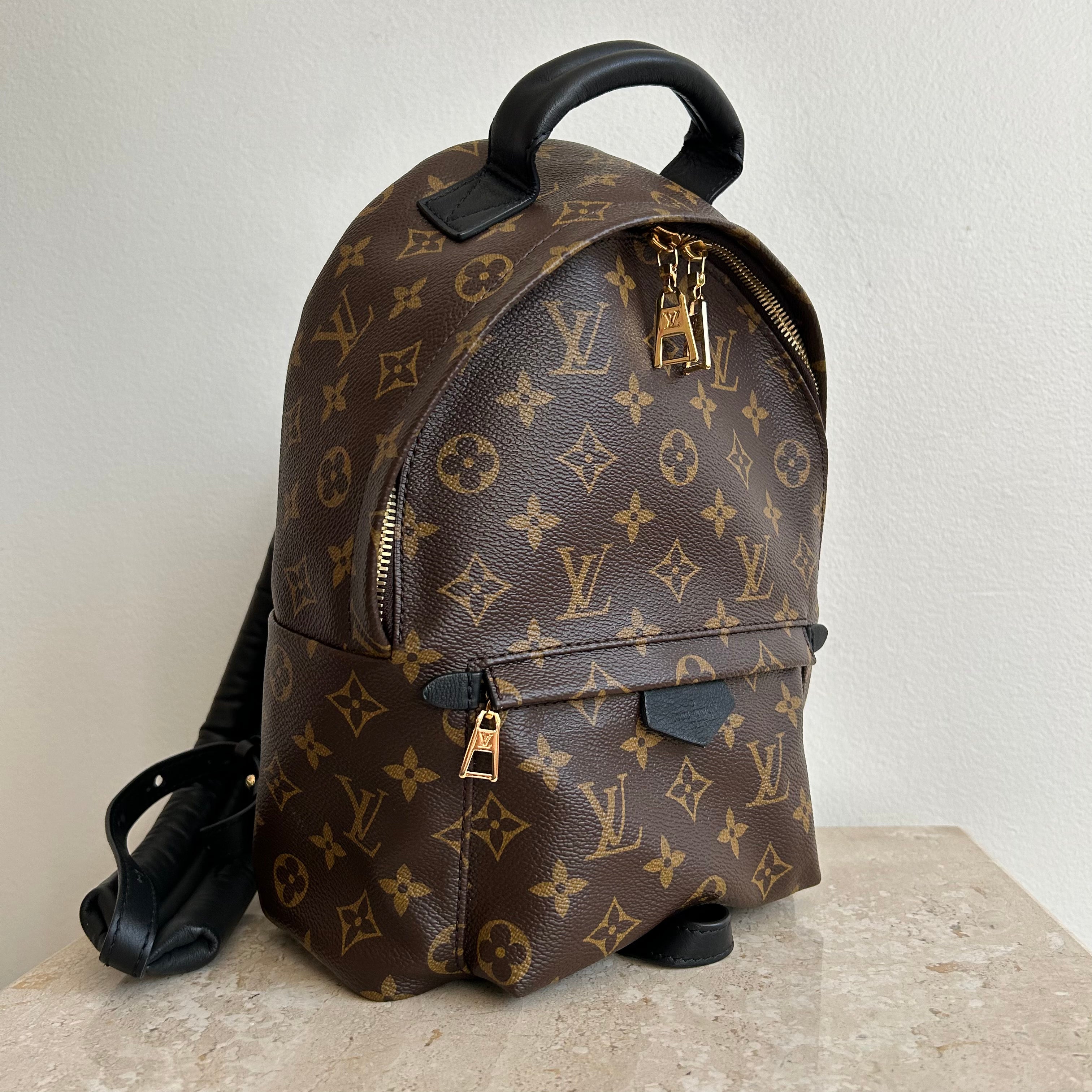 Louis Vuitton Palm Springs Canvas Backpack Bag (pre-owned) in Brown